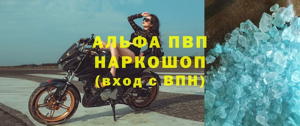 винт Алзамай