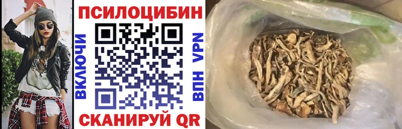 Галлюциногенные грибы Psilocybine cubensis  где можно купить наркотик  Керчь 
